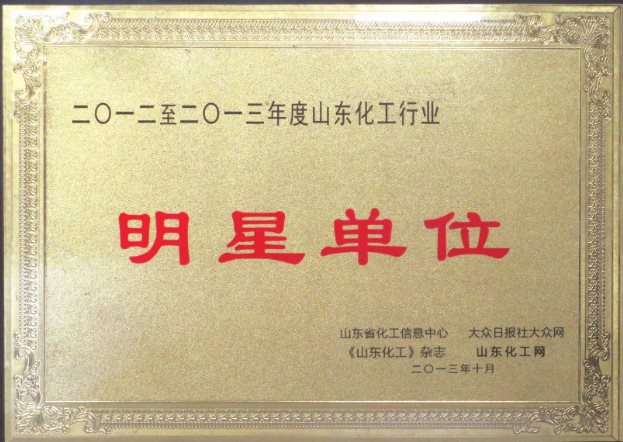 公司獲得“2012—2013年度山東化工行業明星”稱號.jpg