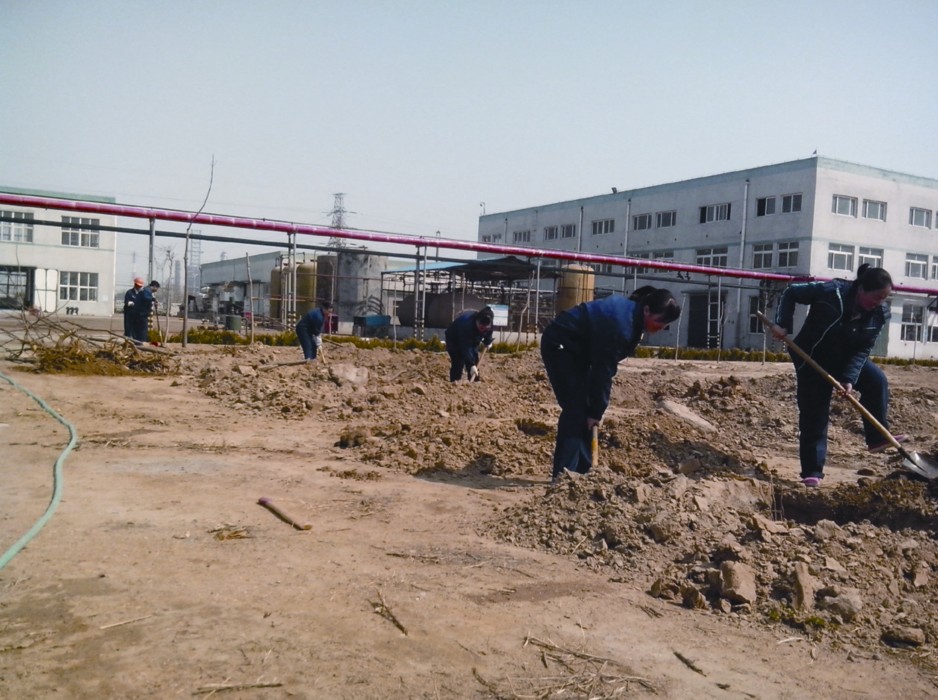 貢獻一份力量 奉獻一片綠色.jpg